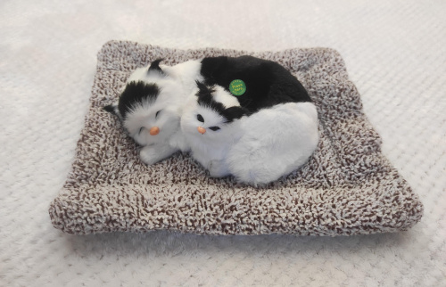 Купить "Кошка с котенком" во Александровске фото 2 "Кошка с котенком" во Александровске фото 2